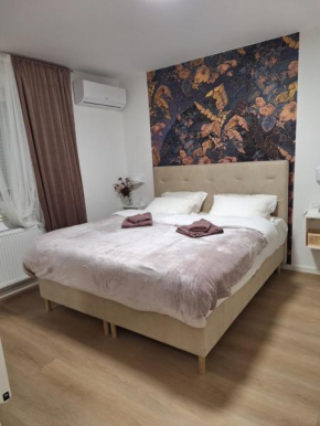 DOLLY APARTMENT